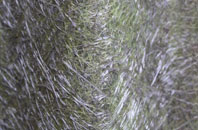 Green Haworth fibreglass roof work